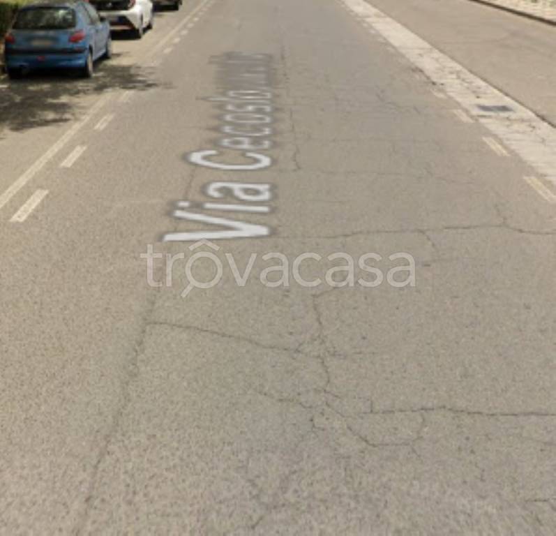 immagine annuncio 7 di 9