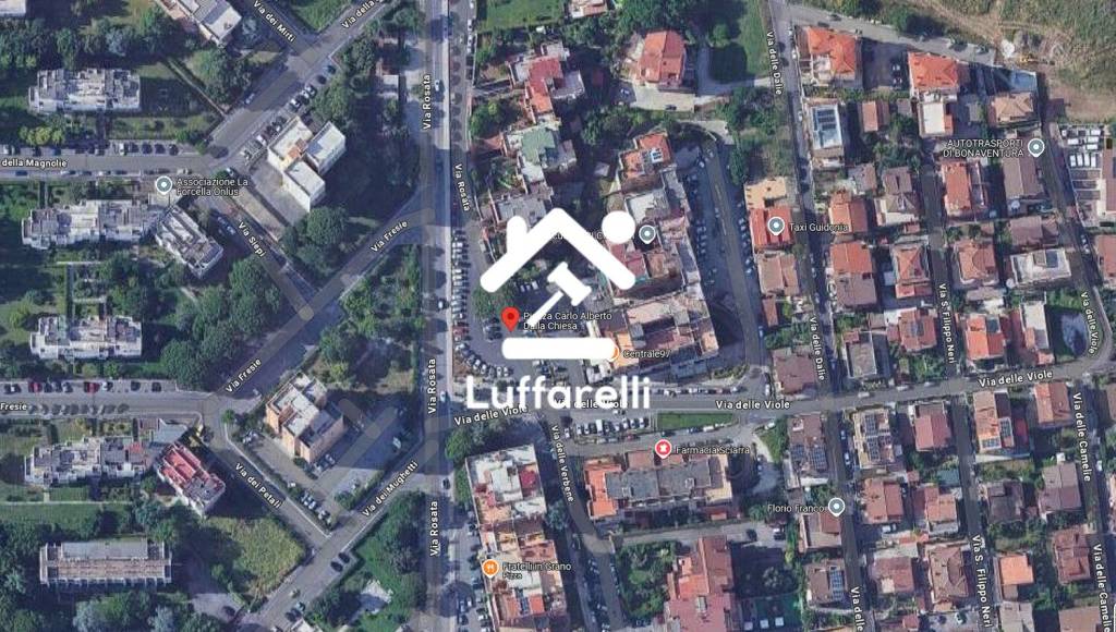 immagine annuncio 1 di 11