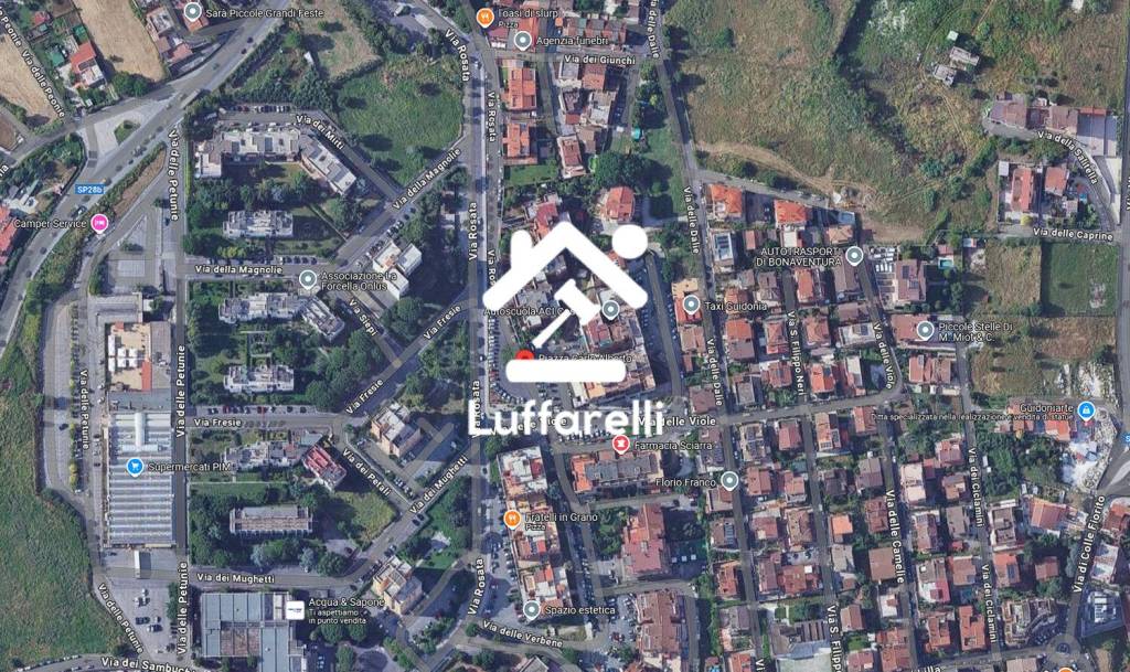 immagine annuncio 2 di 11