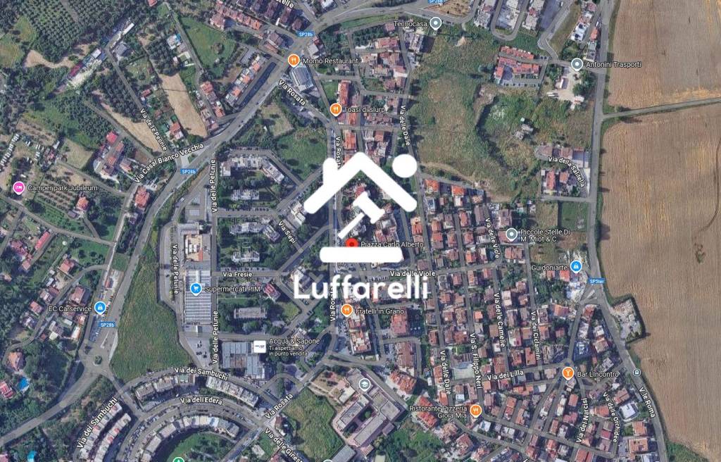 immagine annuncio 3 di 11