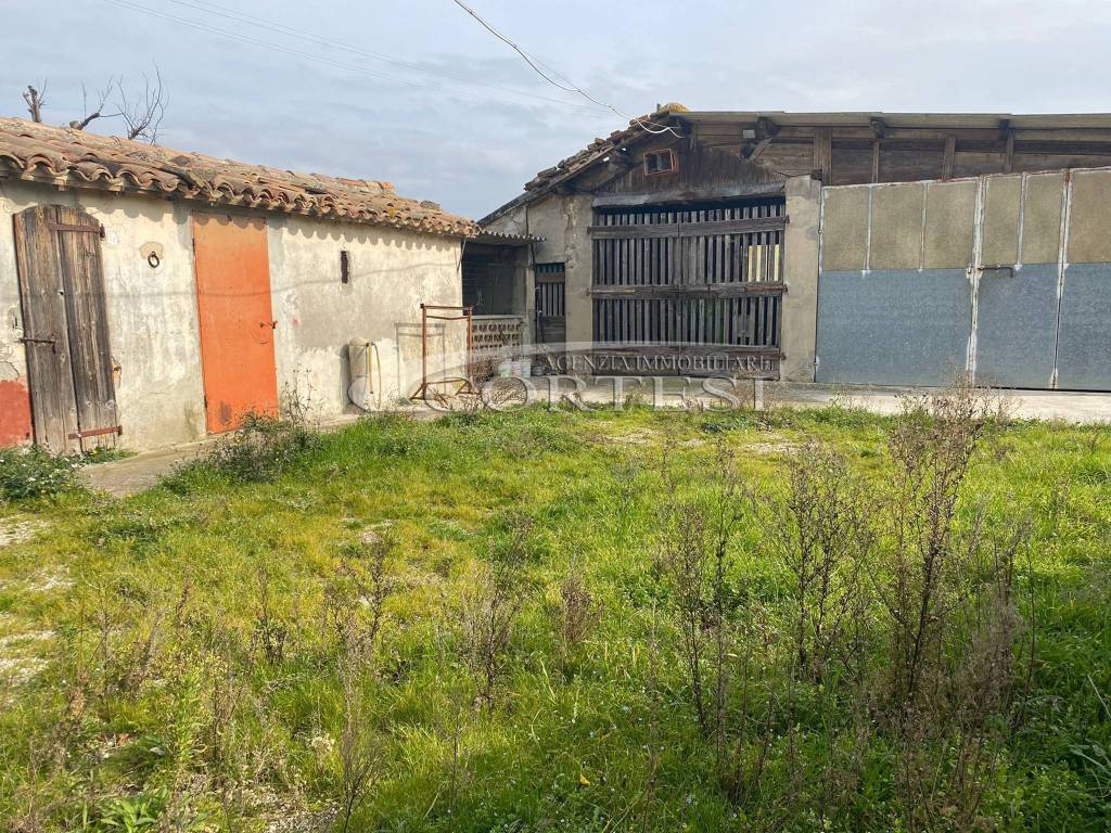 immagine annuncio 7 di 9