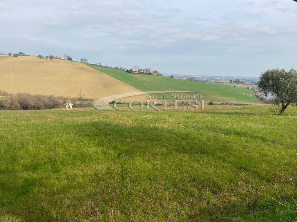immagine annuncio 8 di 9