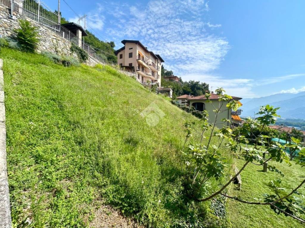 immagine annuncio 3 di 9