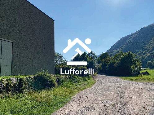 immagine annuncio 2 di 12