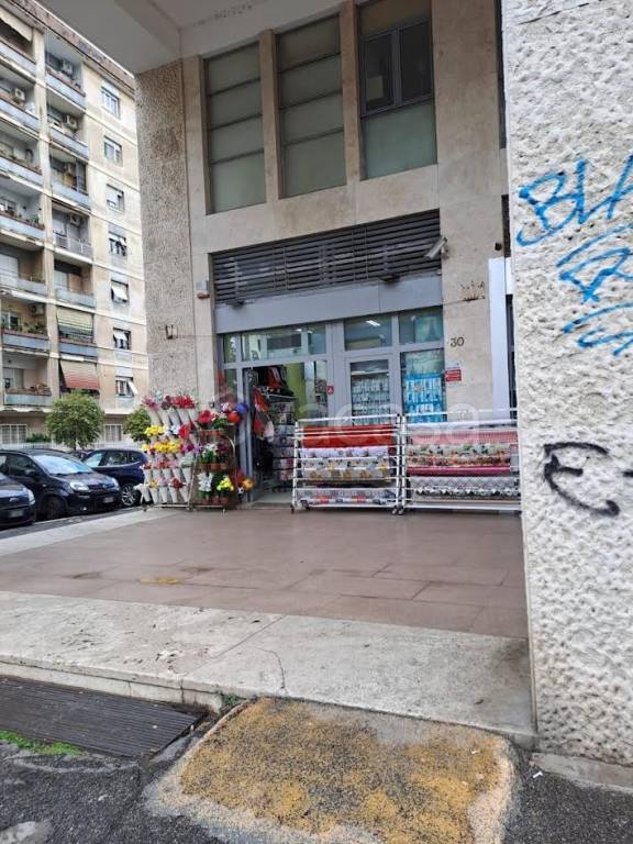 immagine annuncio 3 di 8