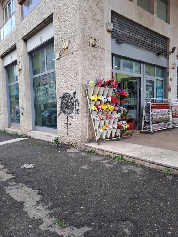 immagine annuncio 5 di 8
