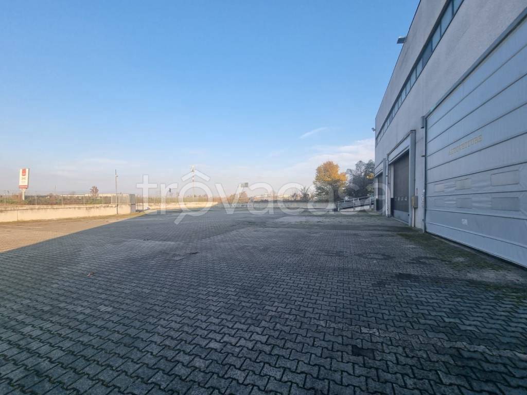 immagine annuncio 11 di 15