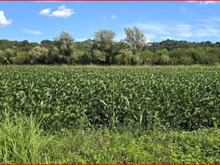 Terreno agricolo all'asta a vicenza strada di gogna