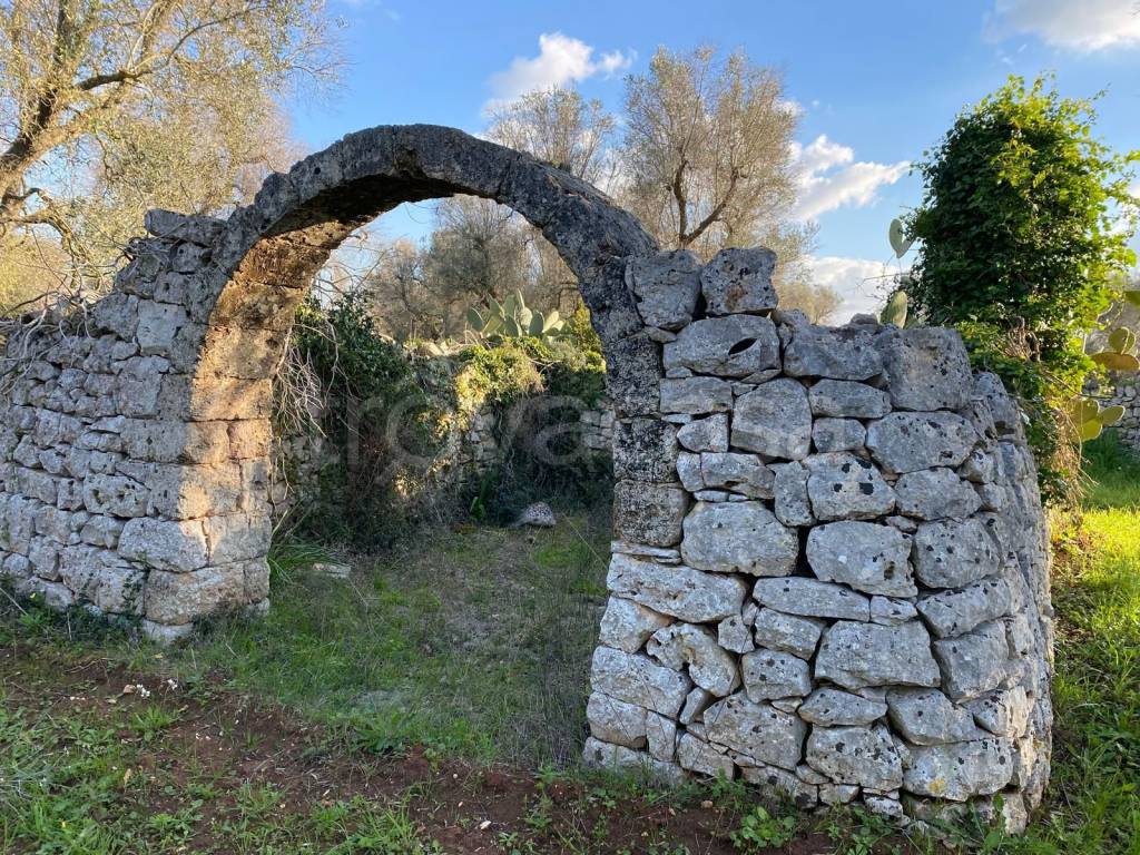 immagine annuncio 3 di 14