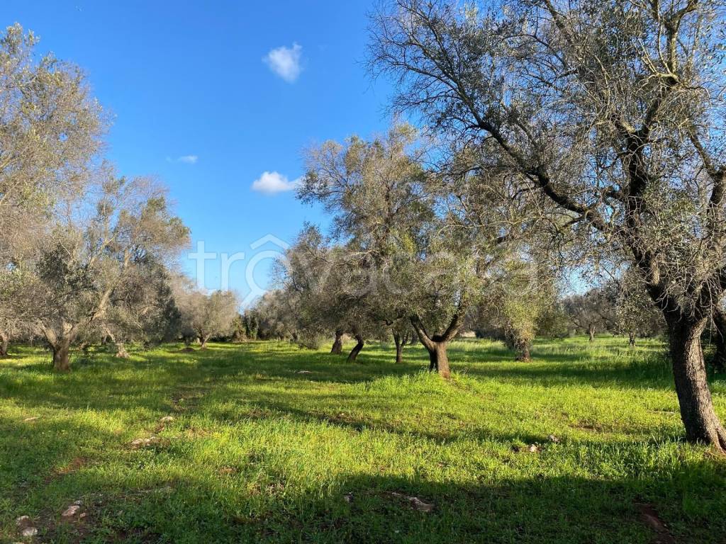 immagine annuncio 10 di 14