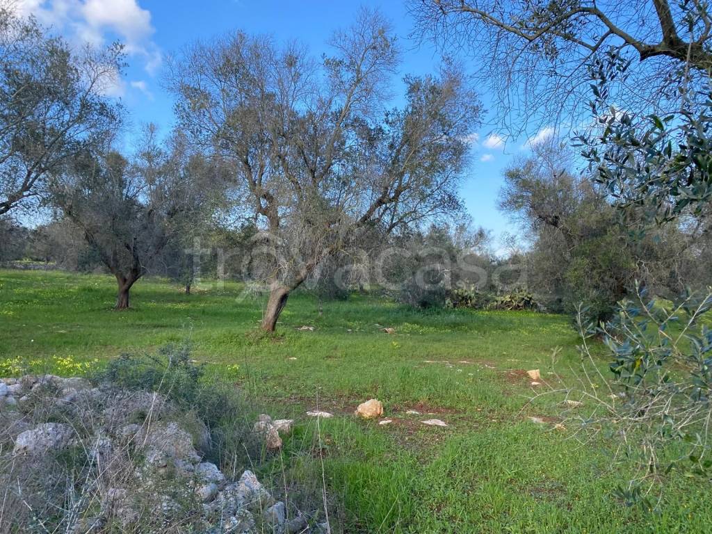 immagine annuncio 11 di 14