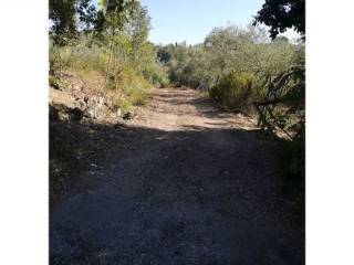 Terreno agricolo in vendita a lastra a signa via del pollaiolo