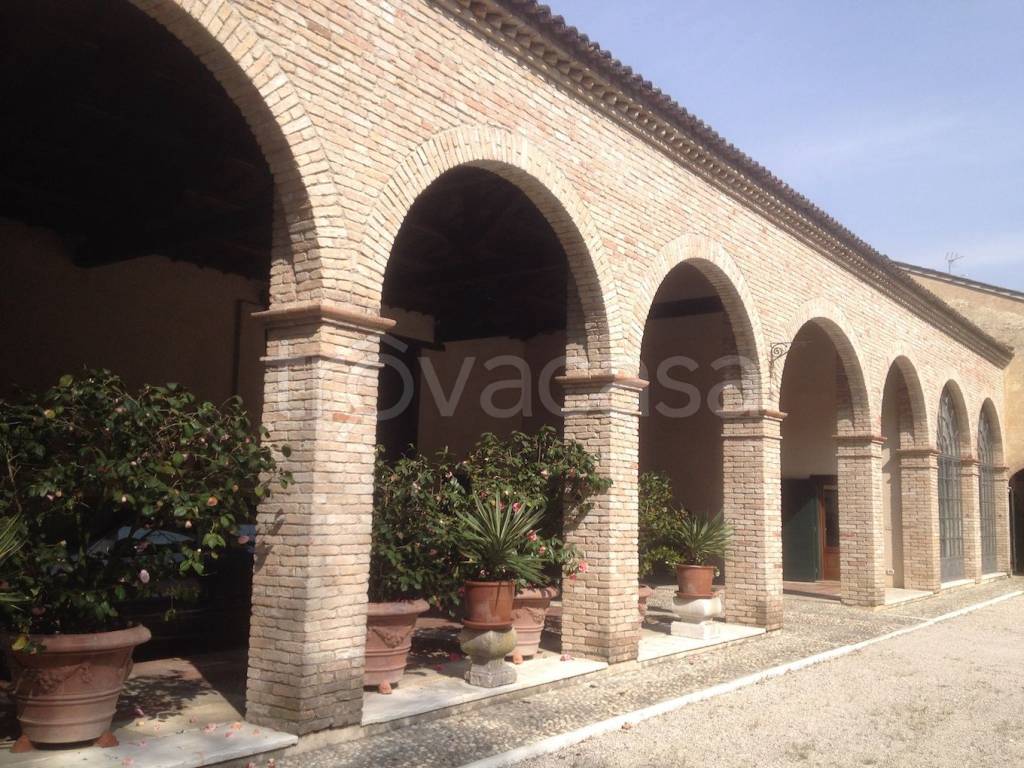immagine annuncio 3 di 8