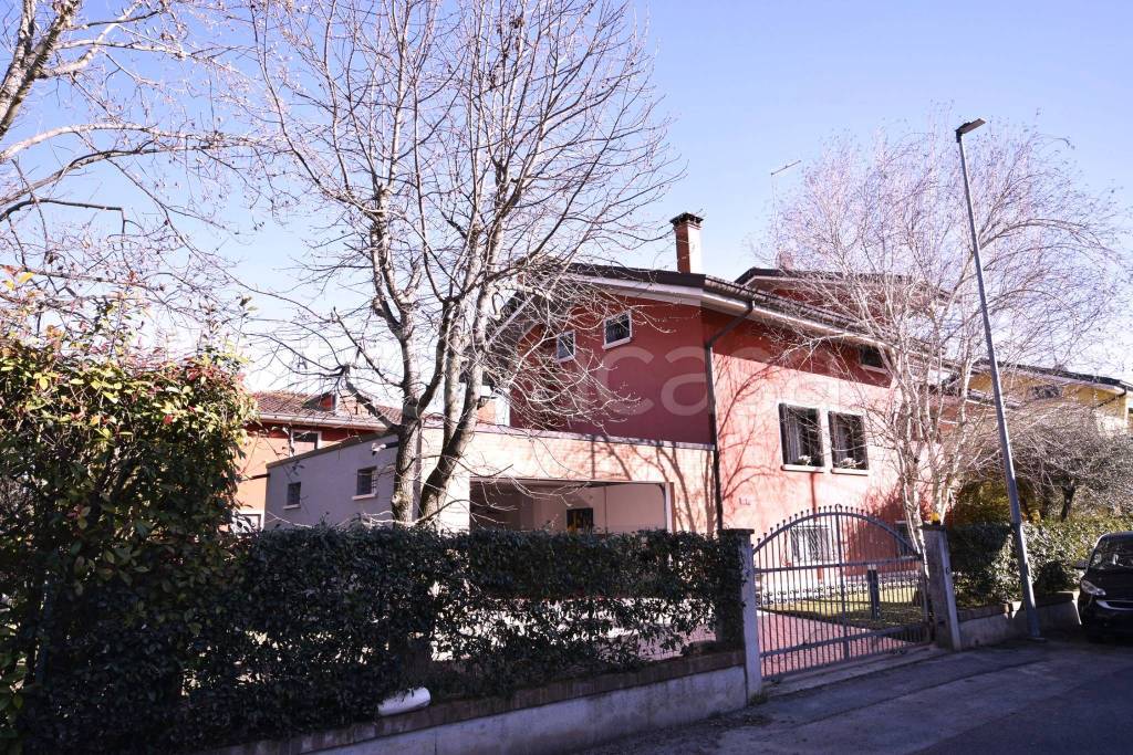 immagine annuncio 3 di 15