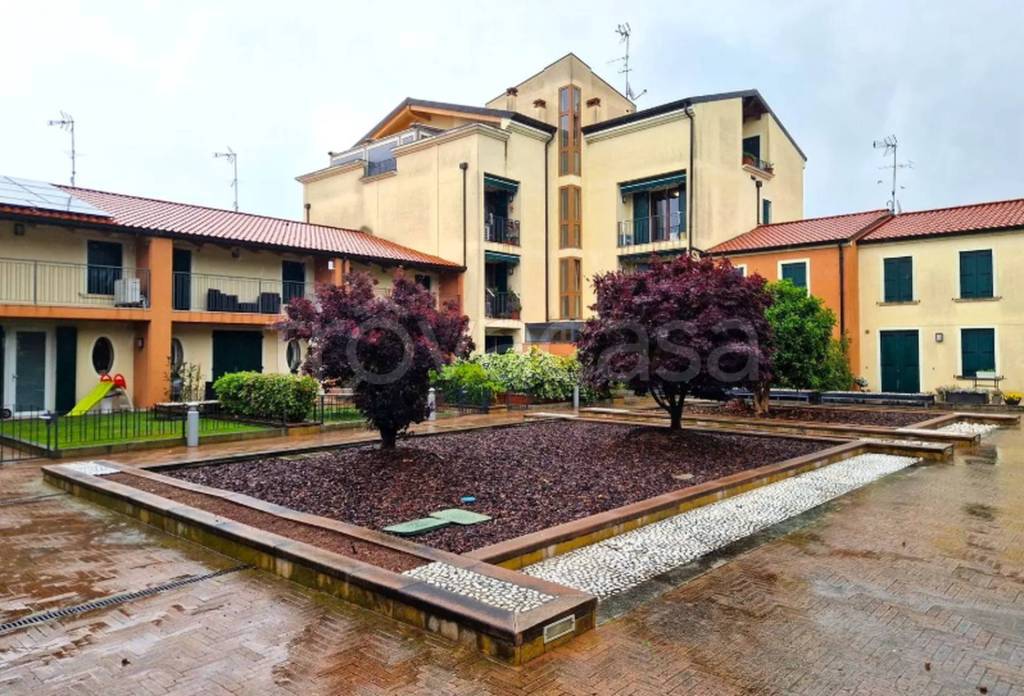 immagine annuncio 9 di 11