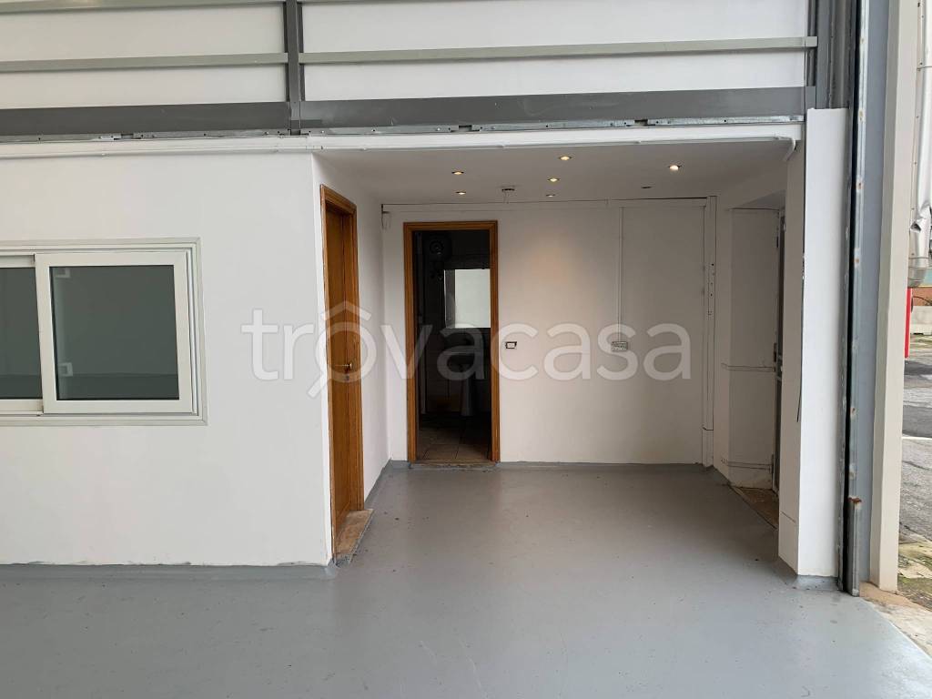 immagine annuncio 8 di 14