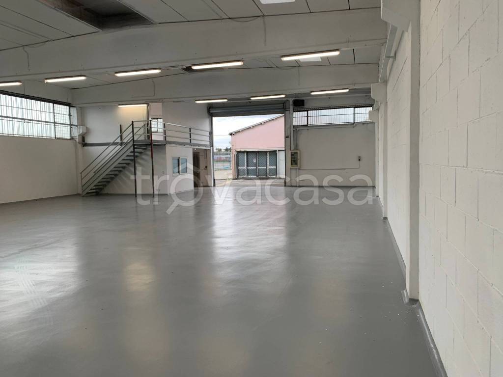 immagine annuncio 5 di 14