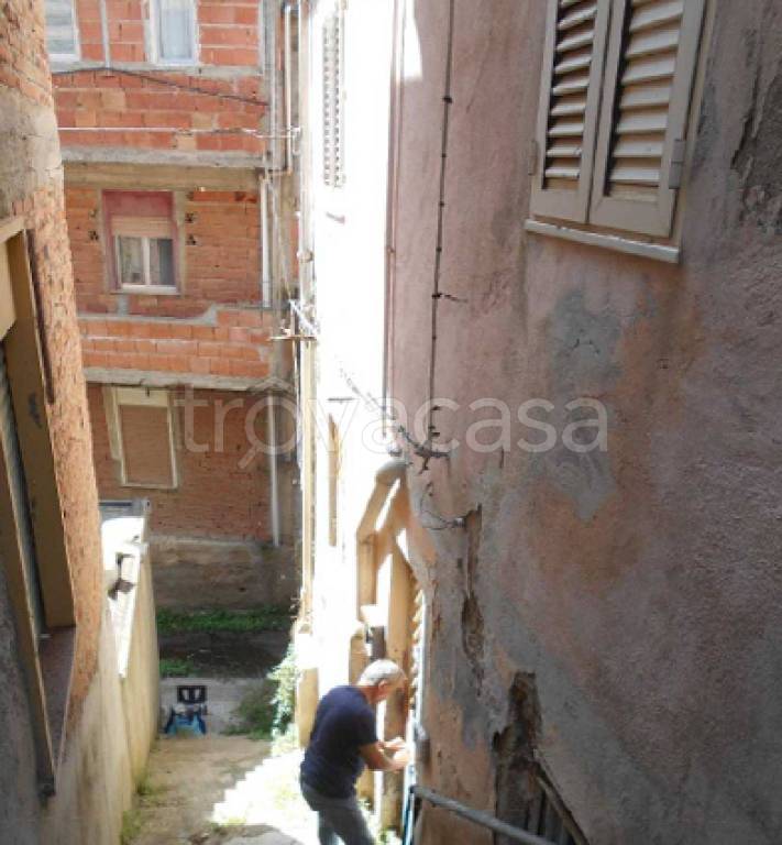 immagine annuncio 5 di 11