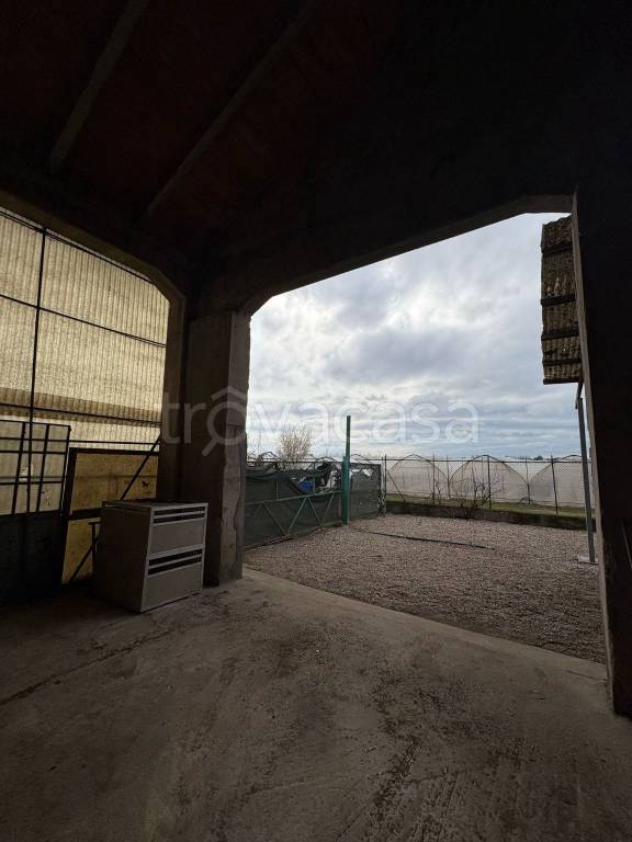 immagine annuncio 3 di 6
