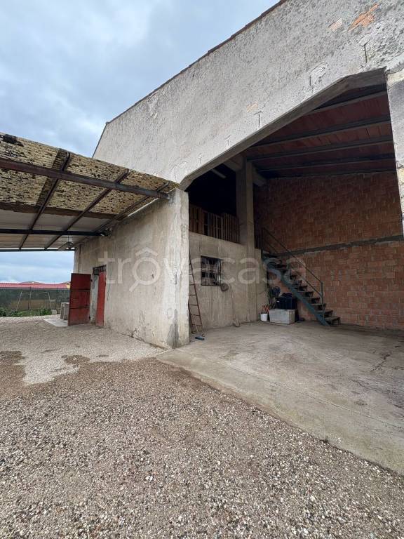 immagine annuncio 5 di 6