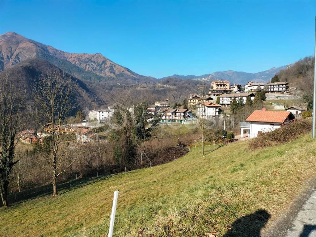 immagine annuncio 7 di 8