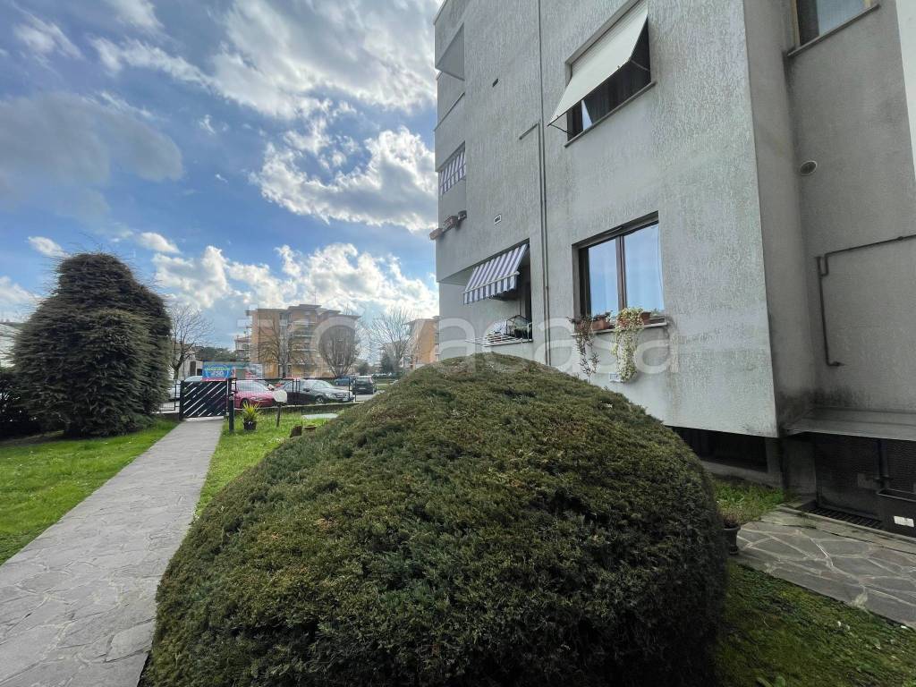 immagine annuncio 2 di 15