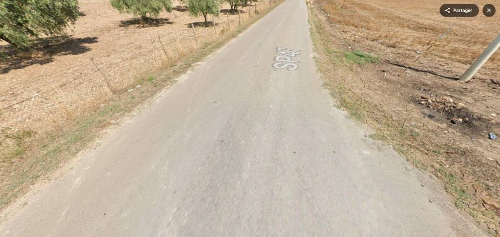 immagine annuncio 12 di 14