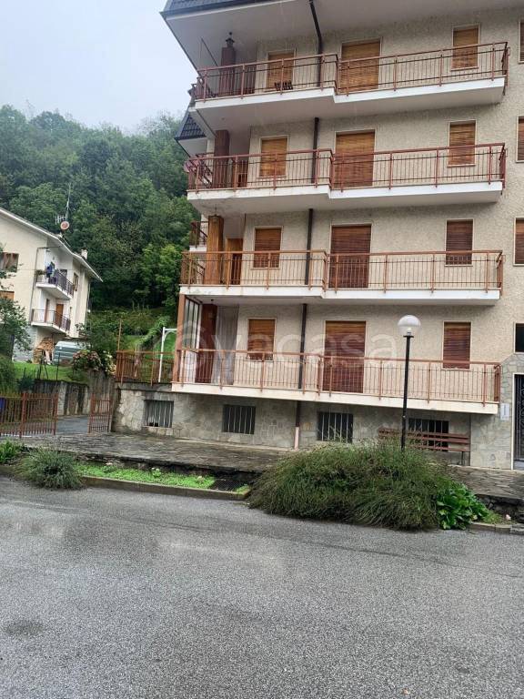 immagine annuncio 1 di 14