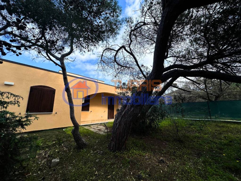 immagine annuncio 10 di 12