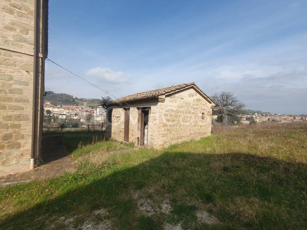 immagine annuncio 7 di 15