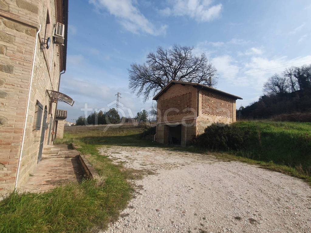 immagine annuncio 8 di 15