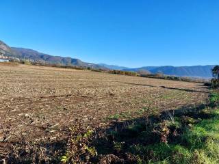 Terreno agricolo in vendita a venafro via amico da venafro, 2