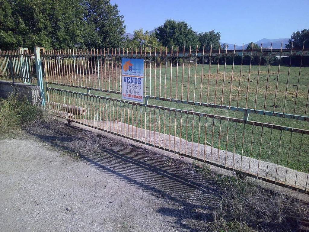 immagine annuncio 2 di 3