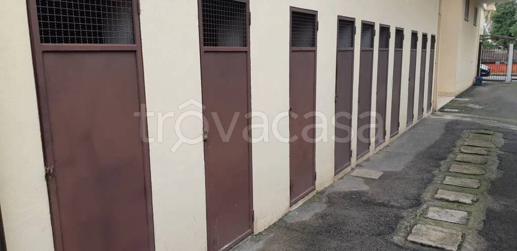 immagine annuncio 12 di 14