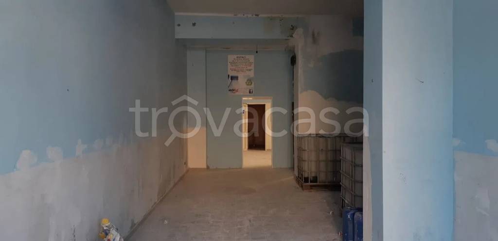 immagine annuncio 4 di 9