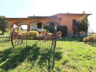 Casale in vendita a manciano strada provinciale usi