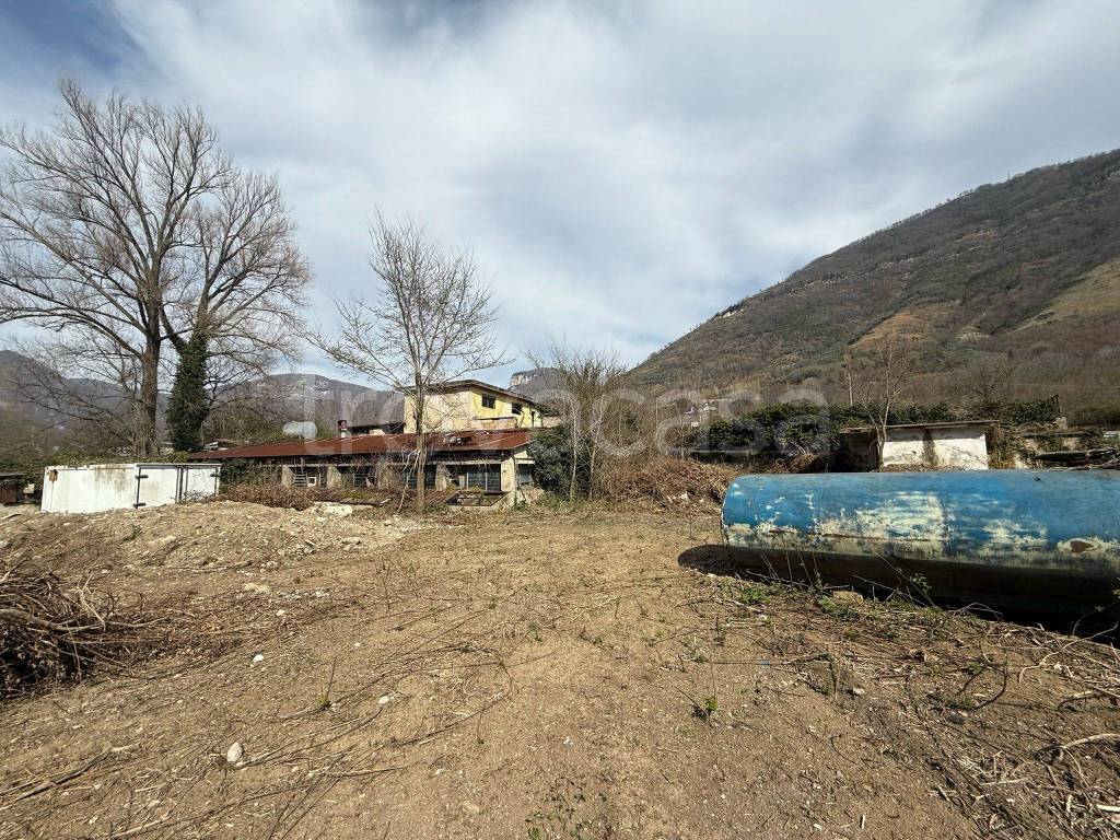 immagine annuncio 1 di 9