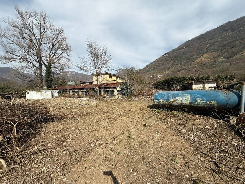 immagine annuncio 3 di 9