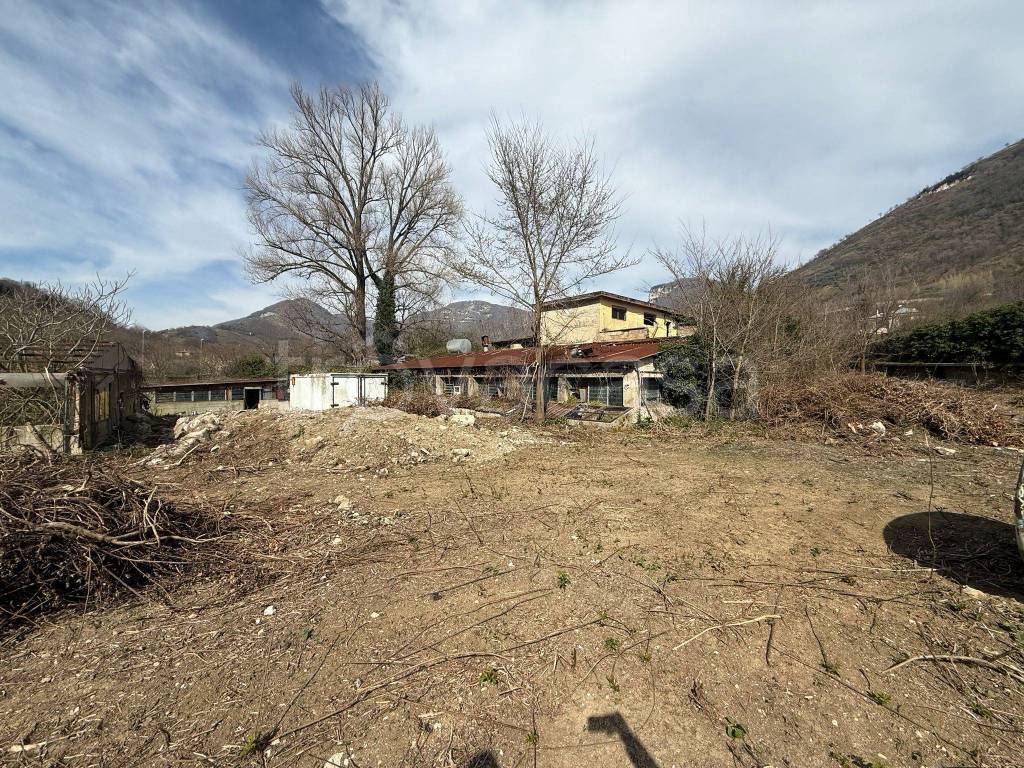 immagine annuncio 5 di 9