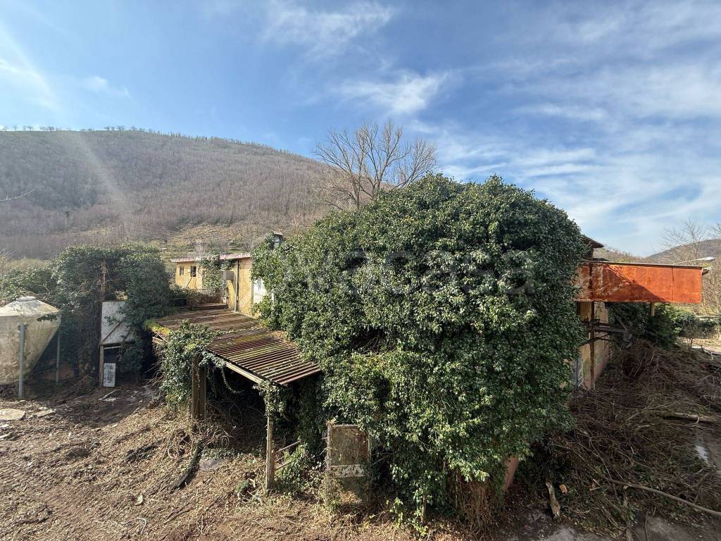 immagine annuncio 7 di 9