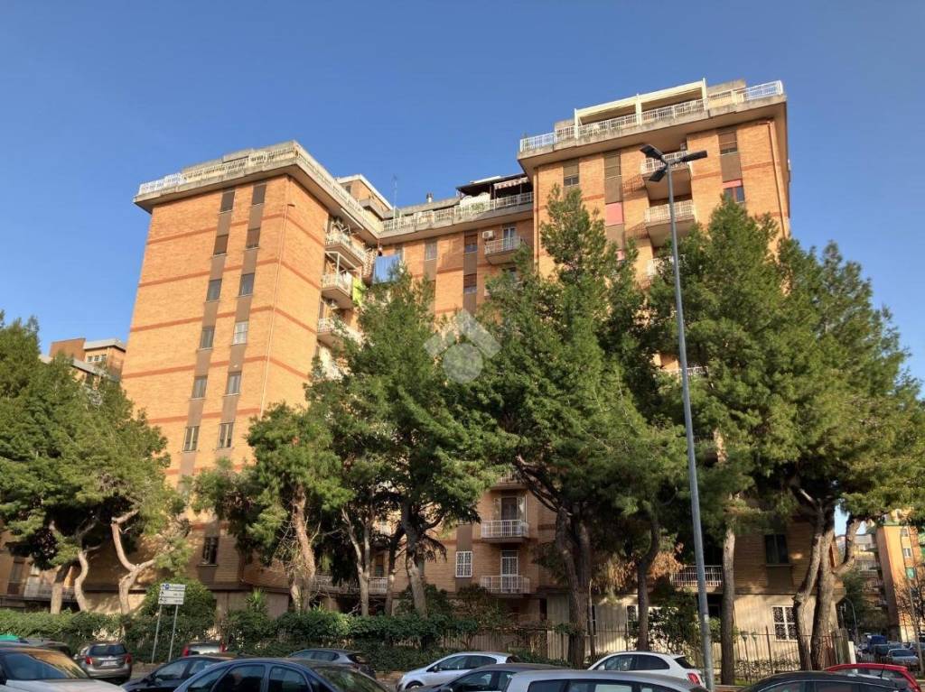 immagine annuncio 2 di 9