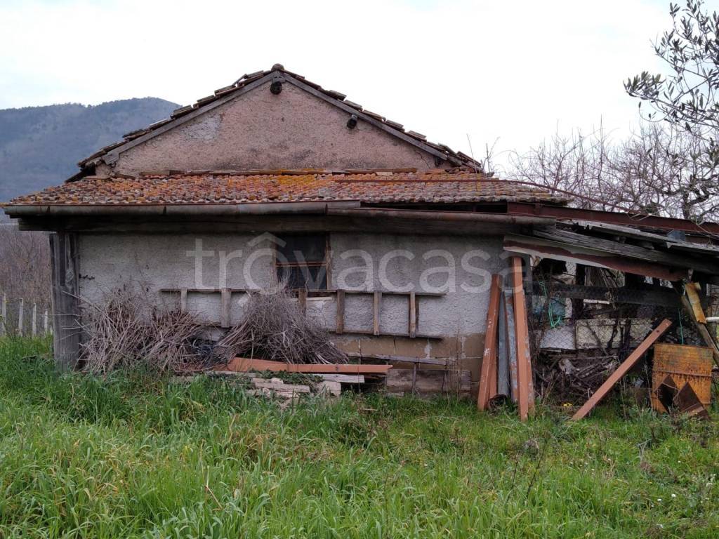 immagine annuncio 1 di 6