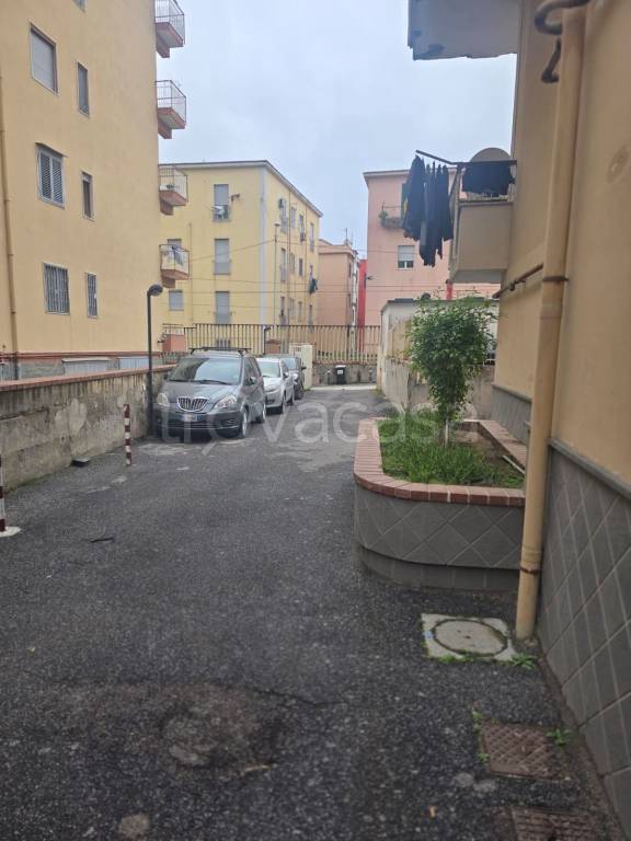 immagine annuncio 9 di 12
