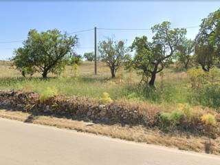 Terreno agricolo in vendita ad altamura strada provinciale ruvo-altamura e traversa parisi