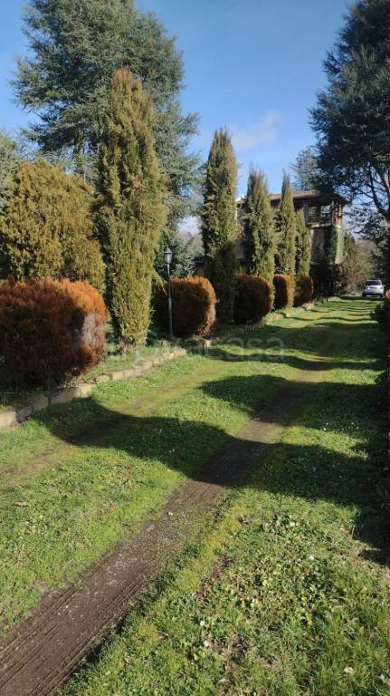 immagine annuncio 3 di 8
