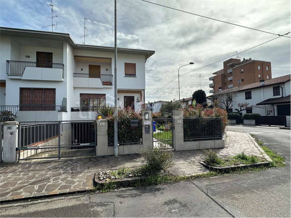 immagine annuncio 3 di 15