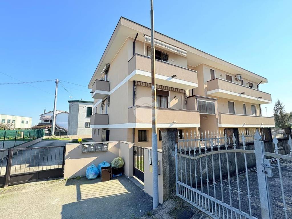 immagine annuncio 3 di 15