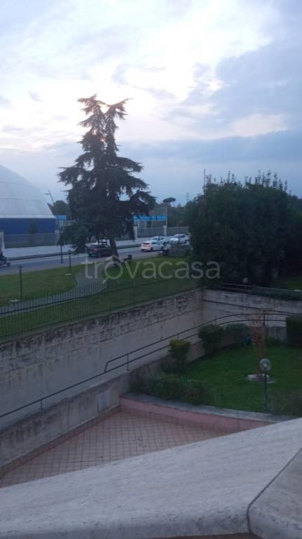 immagine annuncio 9 di 13