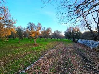 Terreno residenziale in vendita a carovigno 