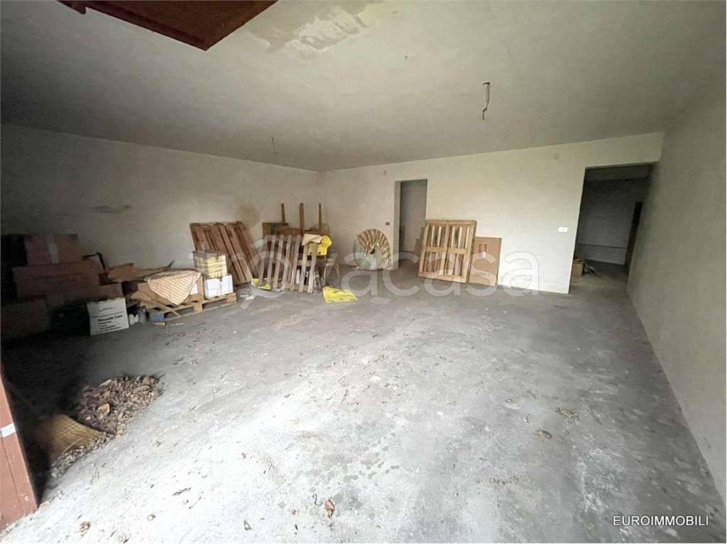 immagine annuncio 4 di 14